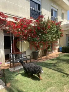Casa com 5 Quartos à venda, 667m² no Indianópolis, São Paulo