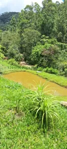 Fazenda/Sítio com 1 Quarto à venda, 3000m² no Centro, Sapucaí-Mirim
