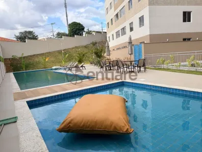 Apartamento com 3 Quartos para alugar, 49m² no Palmeiras, Belo Horizonte