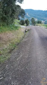 Lote/Terreno à venda, 43m² no Picada Holanda, Picada Café
