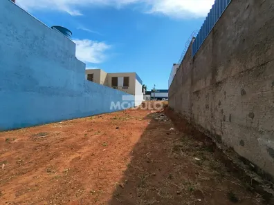 Lote/Terreno para alugar, 900m² no Marta Helena, Uberlândia
