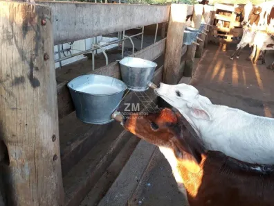Fazenda/Sítio com 6 Quartos à venda, 280000m² no Centro, Alpinópolis