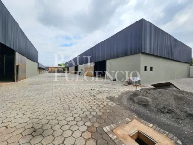 Galpão/Depósito/Armazém para alugar, 1500m² no Bandeirantes, Londrina