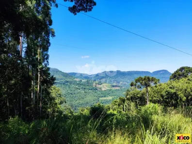 Fazenda/Sítio com 1 Quarto à venda, 5000m² no Dos Boêmios, Nova Petrópolis