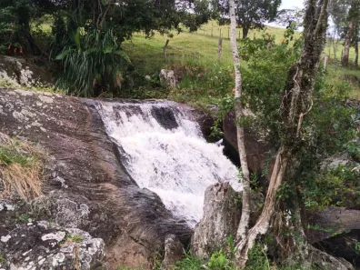 Fazenda/Sítio à venda, 108900m² no , Cunha
