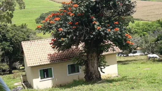 com 1 Quarto à venda, 107m² no Centro, Pouso Alegre