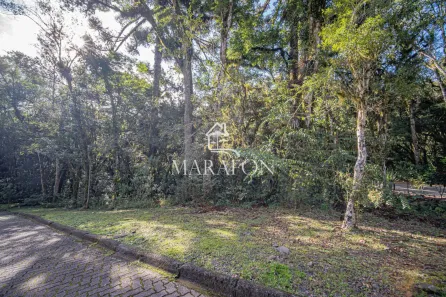 Lote/Terreno à venda, 592m² no Bosque Sinoserra, Canela