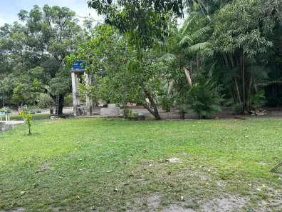 Fazenda/Sítio à venda, 12000m² no Turu, São Luís