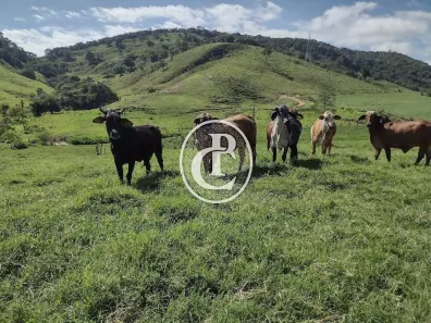 Fazenda/Sítio com 2 Quartos à venda, 100m² no Centro, Itamonte