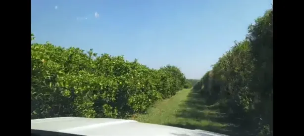 Fazenda/Sítio com 3 Quartos à venda, 1863400m² no , Casa Branca