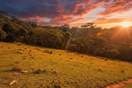 Lote/Terreno à venda, 500m² no Santana, Cotia