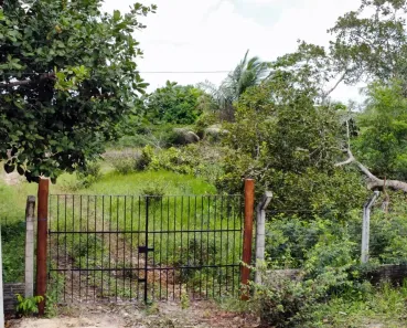 Lote/Terreno à venda, 7500m² no Lagoa do Bomfim, Nísia Floresta