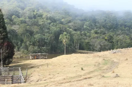 Fazenda/Sítio com 6 Quartos à venda, 1000m² no , Cunha