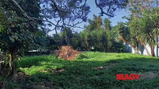 Lote/Terreno para alugar, 552m² no Coqueiros, Florianópolis