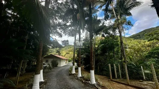 Fazenda/Sítio com 20 Quartos à venda, 40000m² no Zantão, Brusque