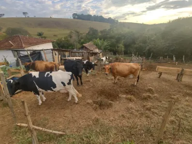 Fazenda/Sítio à venda, 112m² no , Caldas