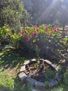 Fazenda/Sítio com 2 Quartos à venda, 5000m² no , Marechal Floriano