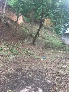 Lote/Terreno à venda, 533m² no Vila Gustavo, São Paulo