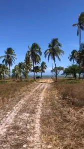 Lote/Terreno à venda, 880000m² no , Barra de Santo Antônio
