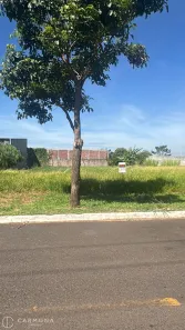 Lote/Terreno à venda, 1010m² no , Iguaraçu