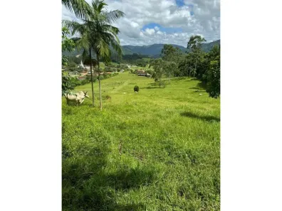 Lote/Terreno à venda, 242619m² no , Rio dos Cedros