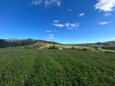 Lote/Terreno à venda, 500m² no Bosque do Vianna, Cotia