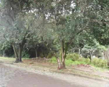 Lote/Terreno à venda, 1200m² no Vila Conceição, Porto Alegre