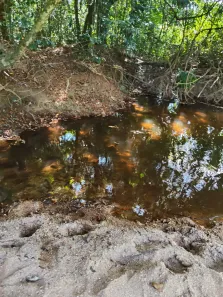 Fazenda/Sítio com 4 Quartos à venda, 190000m² no Professor Souza, Casimiro de Abreu