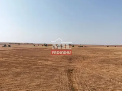 Fazenda/Sítio à venda, 500m² no Zona Rural, Piracanjuba