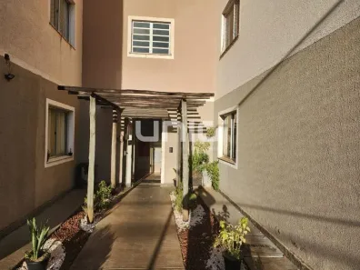 Apartamento com 2 Quartos para alugar, 46m² no Piracicamirim, Piracicaba