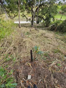 Lote/Terreno à venda, 537m² no Cajueiros (Itaipuaçu), Maricá