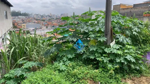 Lote/Terreno à venda, 275m² no Alto Industrial, São Bernardo do Campo