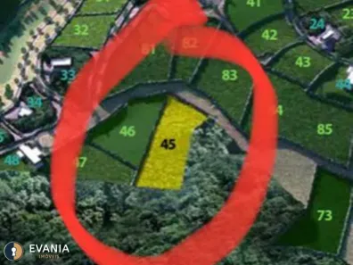 Lote/Terreno à venda, 4000m² no Condomínio Espelho D'água, Domingos Martins