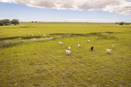 Fazenda/Sítio à venda, 5324000m² no Área Rural de Linhares, Linhares