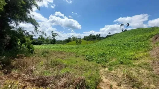 Fazenda/Sítio com 1 Quarto à venda, 70000m² no , Águas Mornas