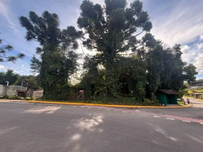 Imóvel Comercial à venda, 43456m² no Mato Queimado, Gramado