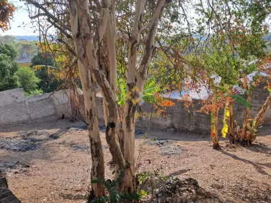 Lote/Terreno à venda, 500m² no Ermelinda, Belo Horizonte
