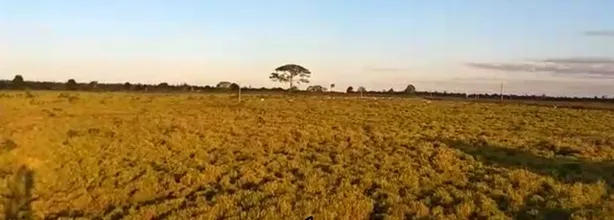 Fazenda/Sítio à venda no , Rondon do Pará
