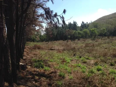 Lote/Terreno à venda, 30000m² no Cézar de Souza, Mogi das Cruzes
