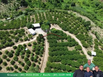 Fazenda/Sítio à venda, 81000m² no Centro, Chã Grande
