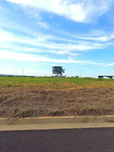 Lote/Terreno à venda, 10m² no Iguatemi, São José do Rio Preto