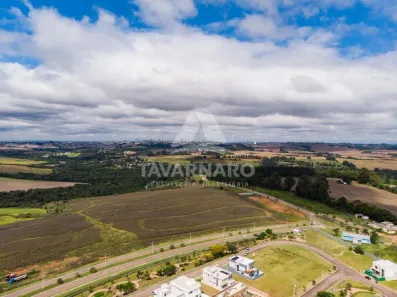 Lote/Terreno à venda, 220m² no Jardim Carvalho, Ponta Grossa