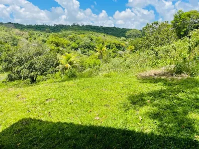 Fazenda/Sítio com 3 Quartos à venda, 38800m² no Bela Vista, Igarassu