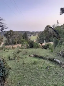Fazenda/Sítio à venda, 20000m² no Colônia Murici, São José dos Pinhais