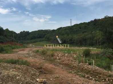 Lote/Terreno à venda, 19000m² no Linha 40, Caxias do Sul