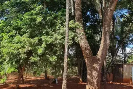 com 1 Quarto à venda, 1000m² no Estância Vargem Bonita, Senador Canedo
