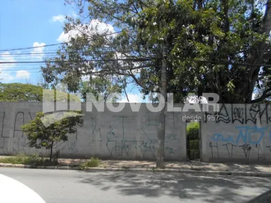 Lote/Terreno para alugar, 3700m² no Vila Guilherme, São Paulo