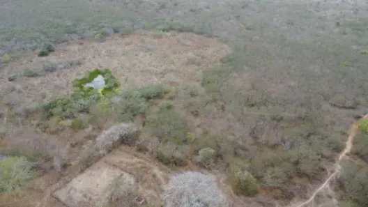 Fazenda/Sítio com 3 Quartos à venda, 220000m² no , Bento Fernandes