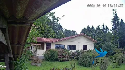 Fazenda/Sítio com 6 Quartos à venda, 87598m² no Ribeirão Grande, Agudos do Sul