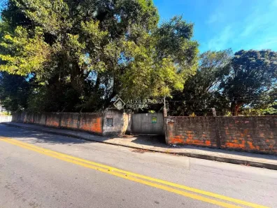 Lote/Terreno à venda, 162m² no Monte Verde, Florianópolis
